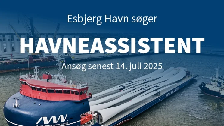 Havneassistent job