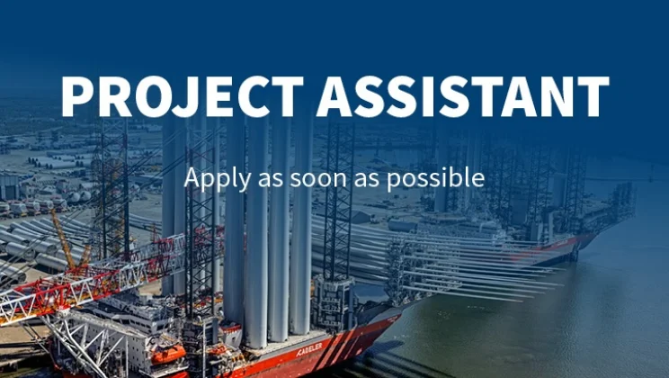 Project assistant web