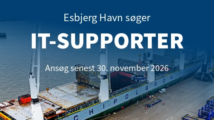 IT supporter web DK